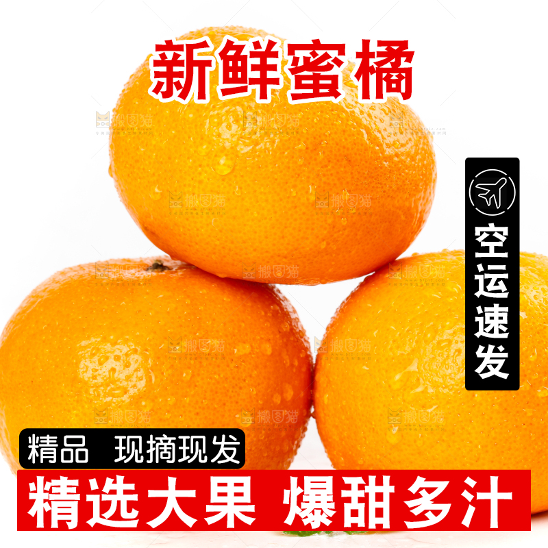 白底上摆放着蜜橘