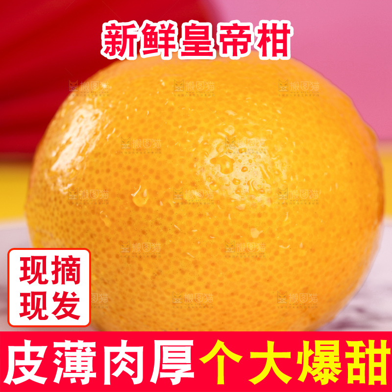 石板上的广西皇帝柑