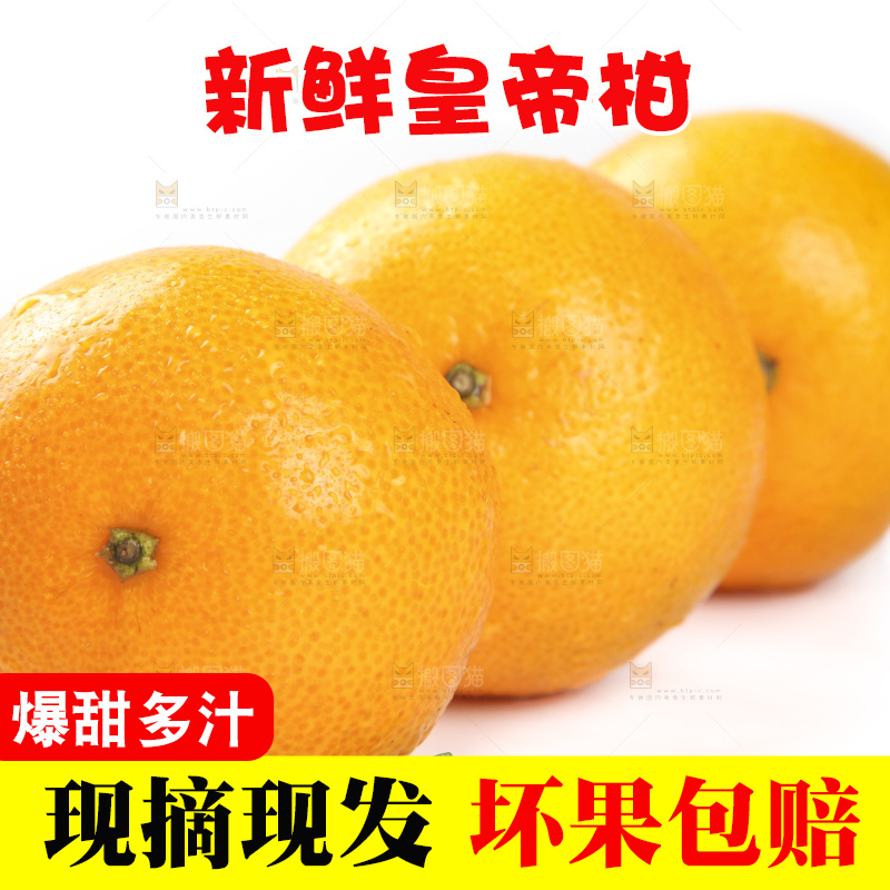 白底上的广西皇帝柑