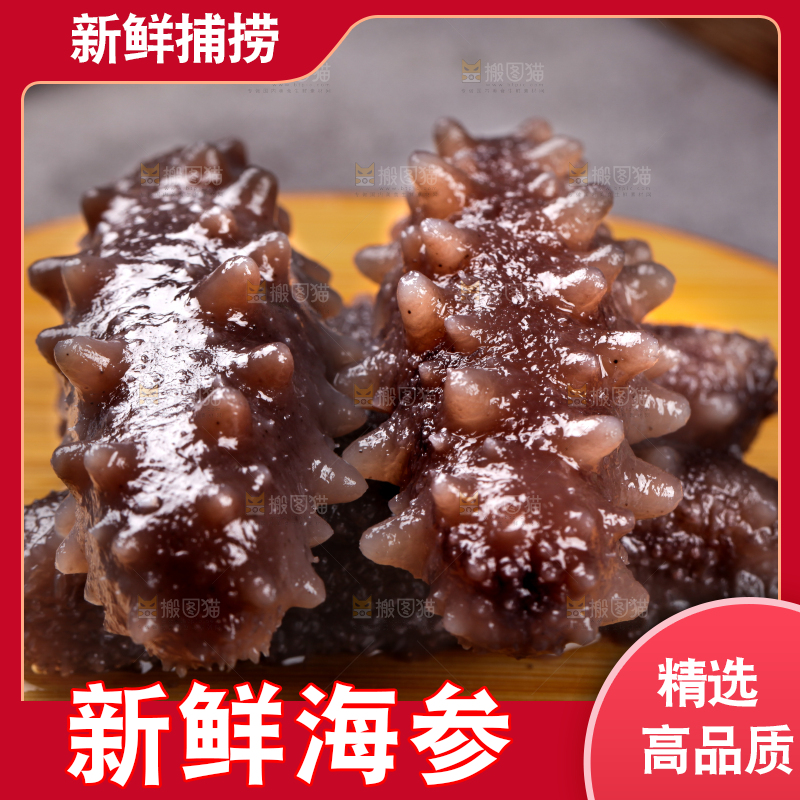 木底上的淡干海参