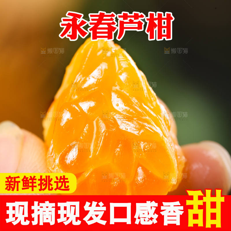 手里拿着新鲜芦柑