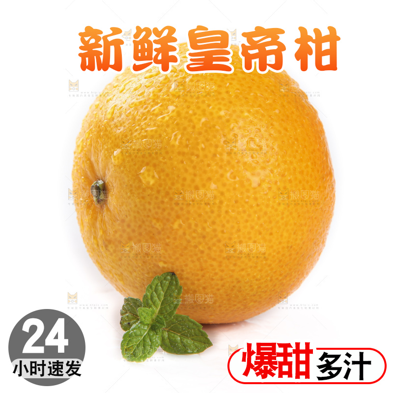 白底上的新鲜皇帝柑