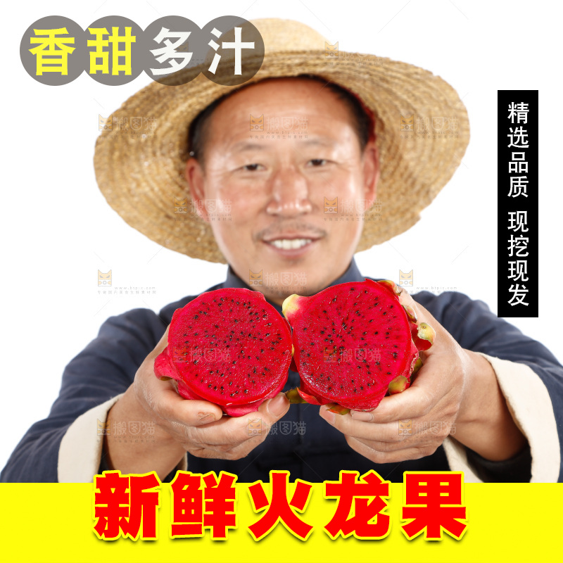 农民手里拿着红心火龙果