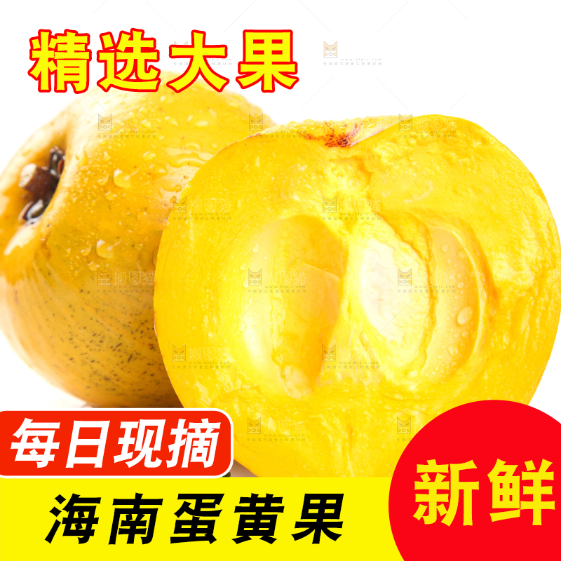 白底上的新鲜鸡蛋果