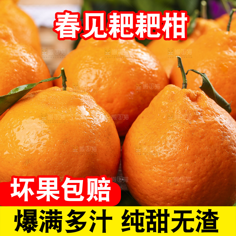 草地上摆放着耙耙柑