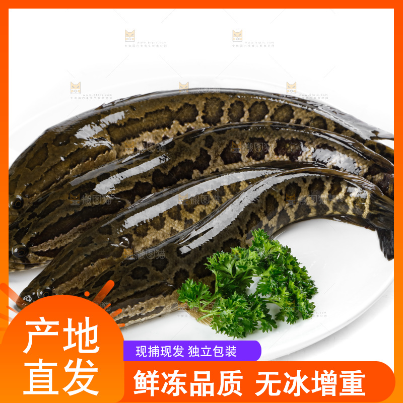 白底上放着一盘黑鱼