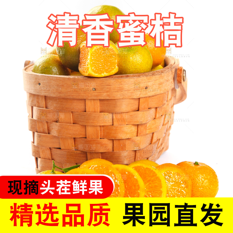 一筐清香蜜橘放在白底上