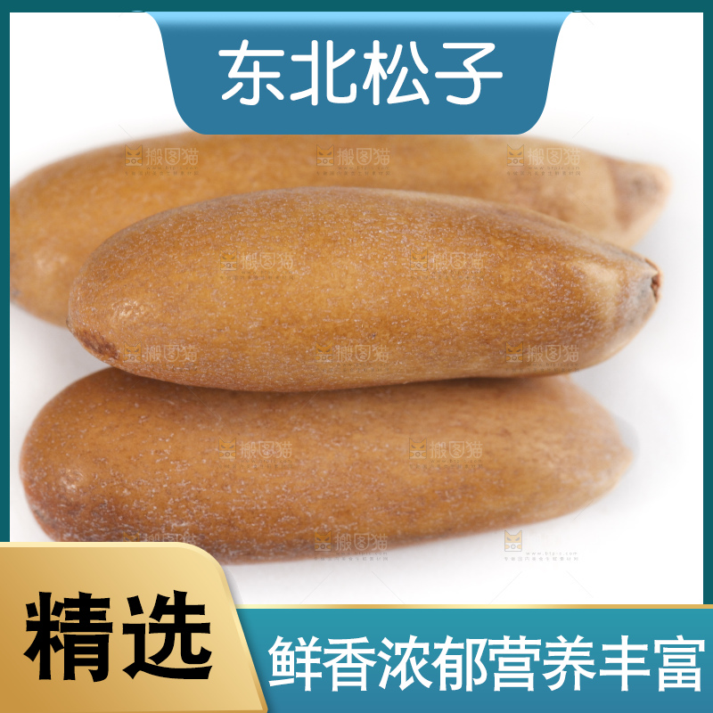 白底上放着松子