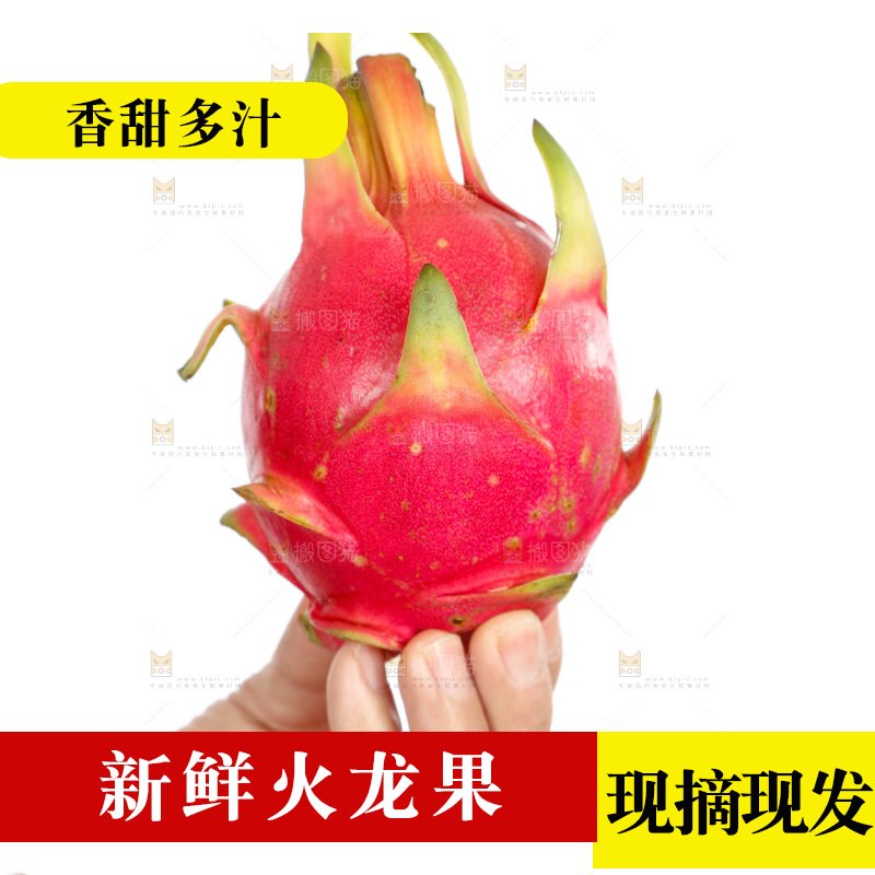 手里拿着火龙果