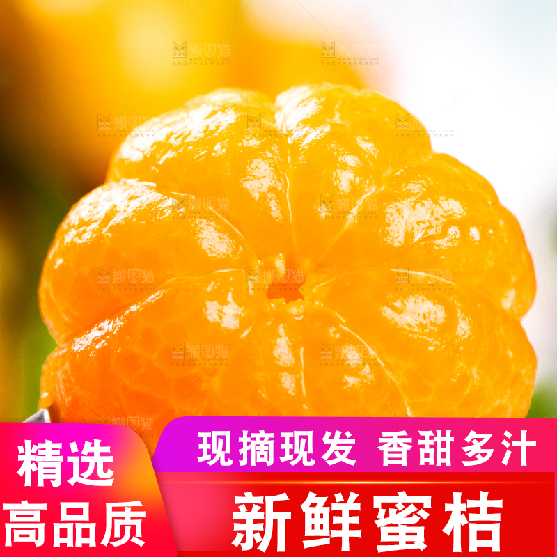 勺子里的桂林清香蜜桔果肉