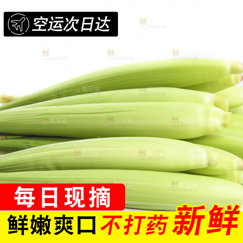 白底上的珍珠笋