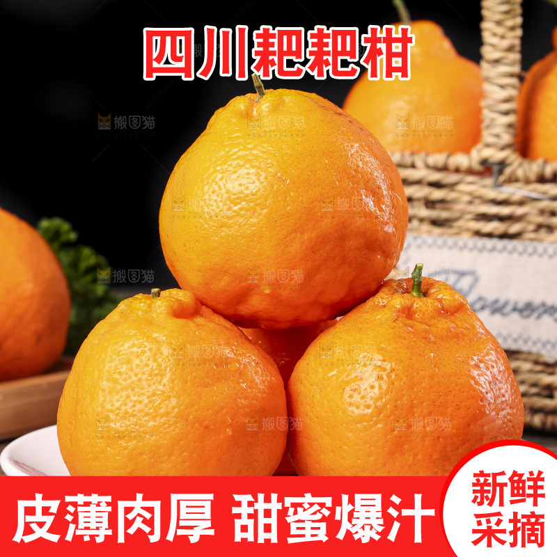 深底上的新鲜耙耙柑