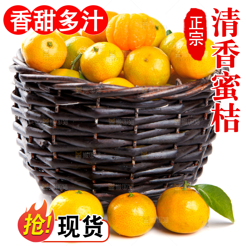 一筐清香蜜橘放在白底上