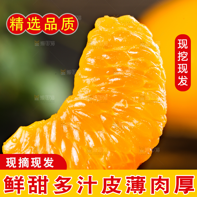 叉子上叉着芦柑果肉