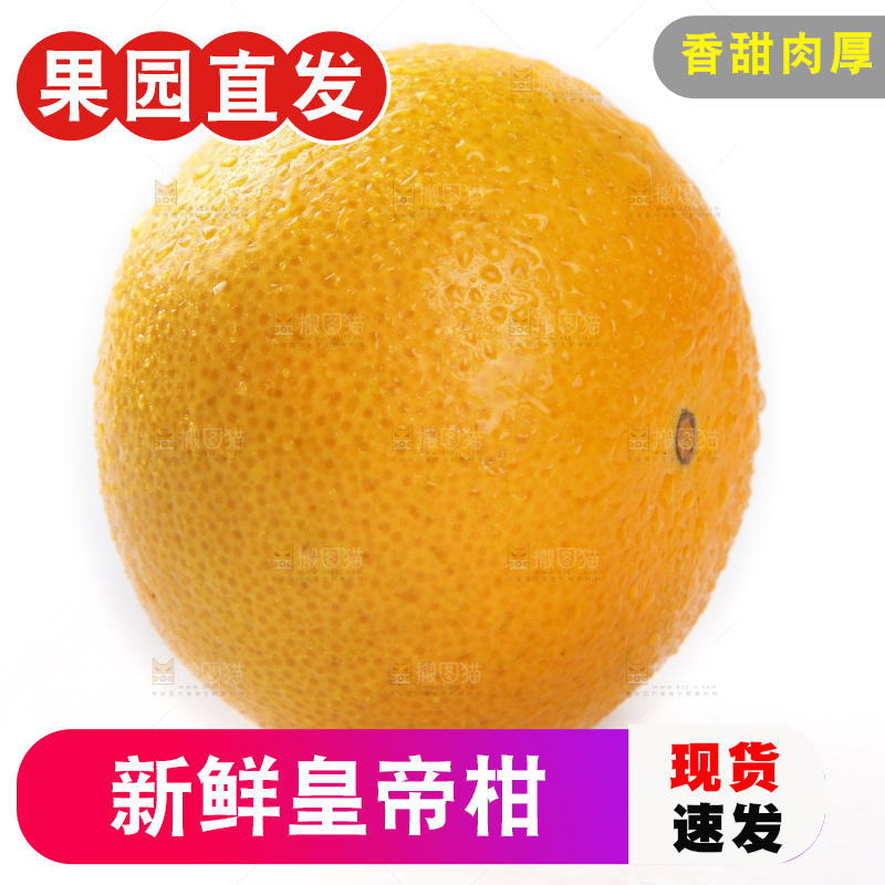白底上的新鲜皇帝柑
