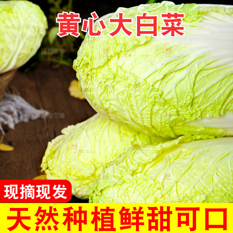 木底上的大白菜