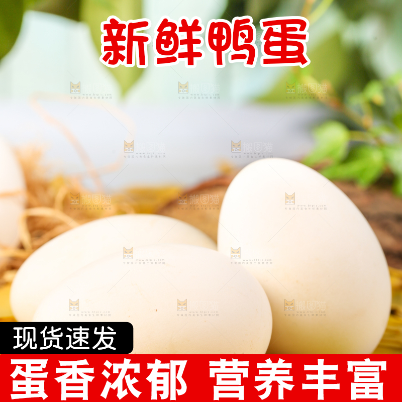 树叶上的鲜鸭蛋