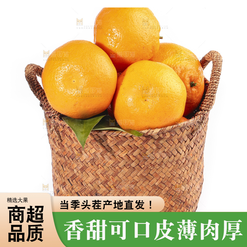 白底上放着一筐耙耙柑