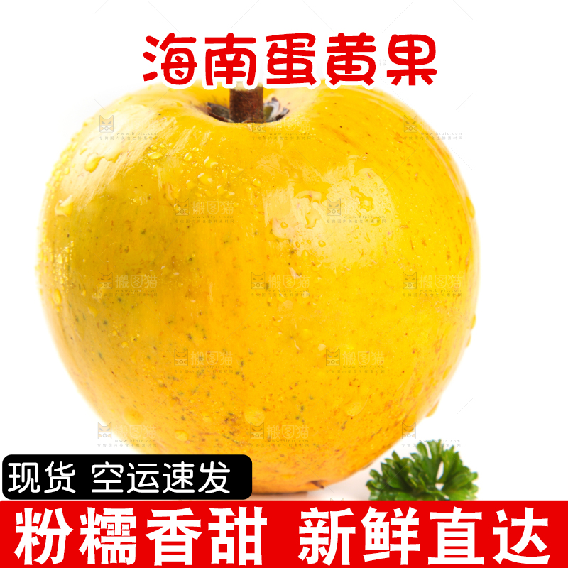 白底上的新鲜鸡蛋果