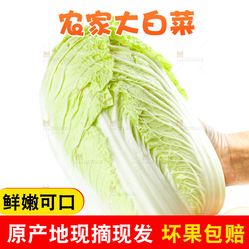 手拿大白菜