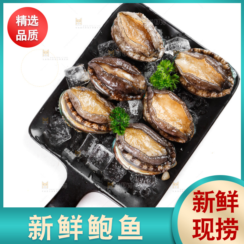 一盘鲜鲍鱼放在白底上