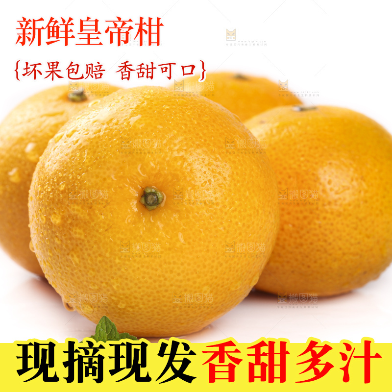 白底上的广西皇帝柑