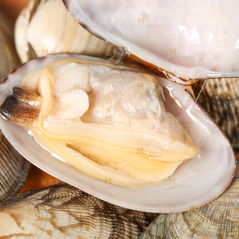 木底上张开的花甲