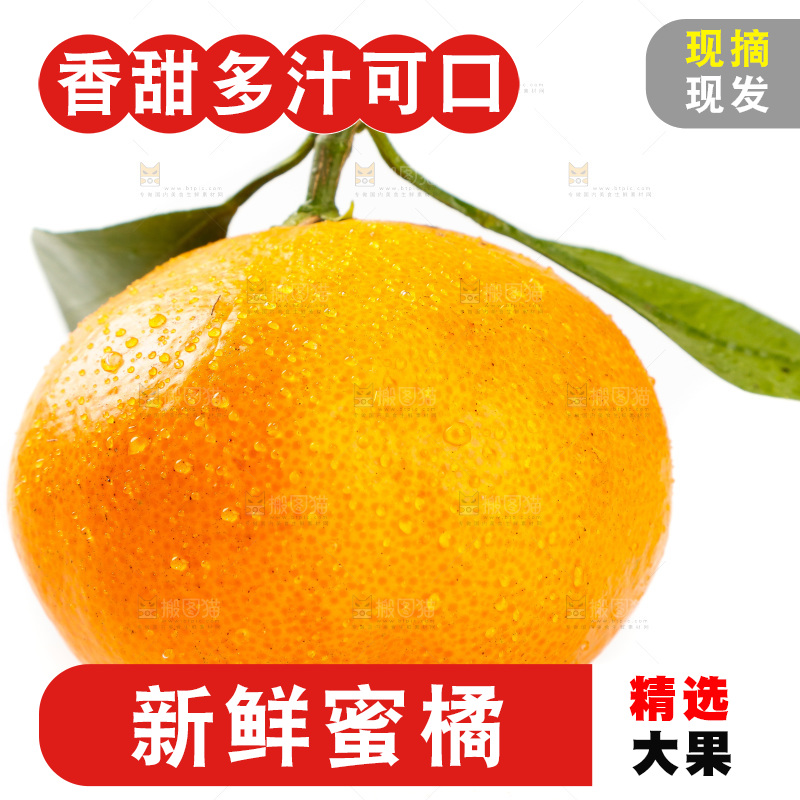 白底上摆放着蜜橘