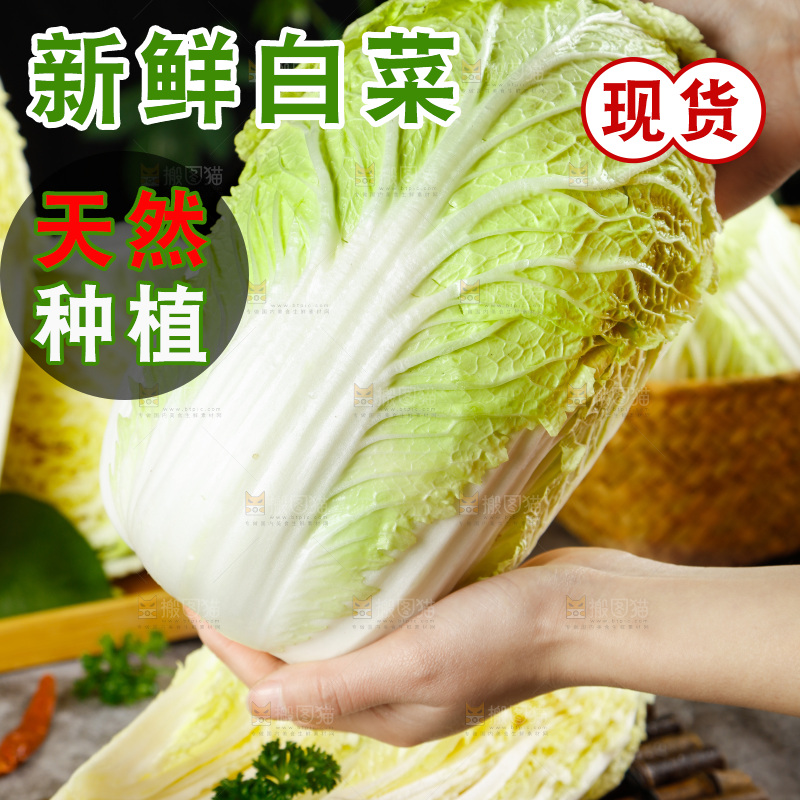 手拿大白菜