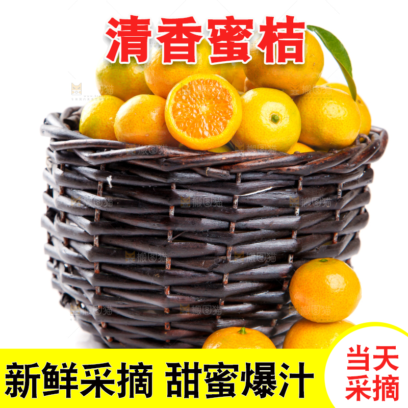 一筐清香蜜橘放在白底上