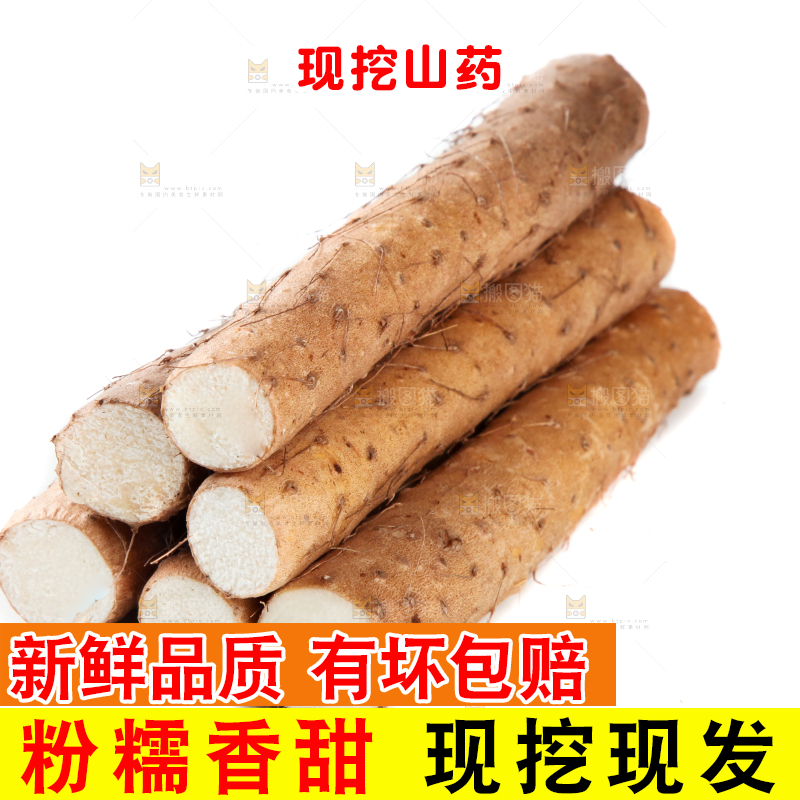 白底上摆放着山药