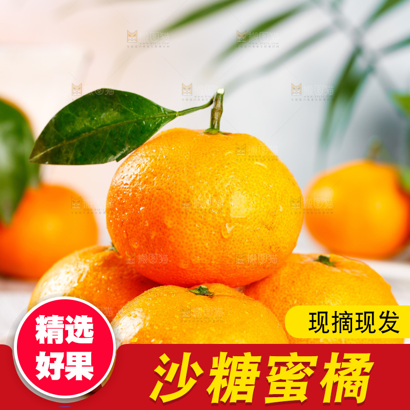 盘子里放着橘子