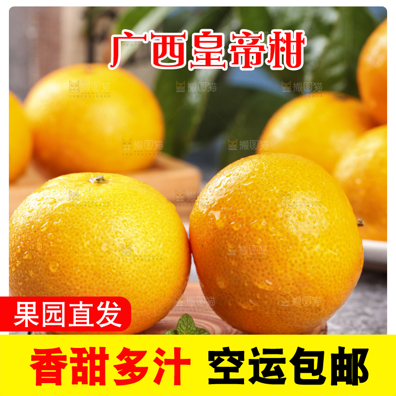 木板上的皇帝贡柑