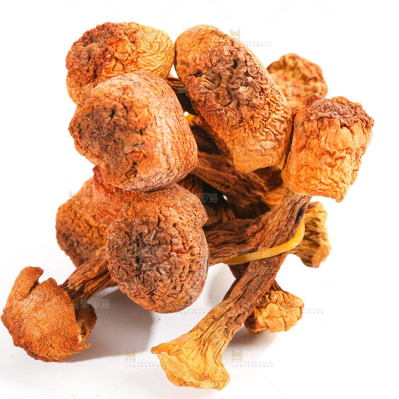 白底上的云南姬松茸
