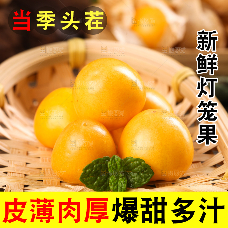 竹篮里放着菇娘果