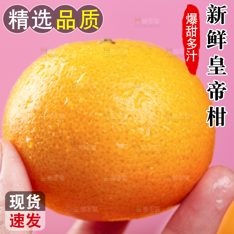 手拿皇帝柑