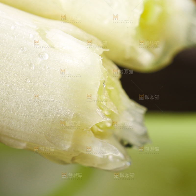 深底上的大葱