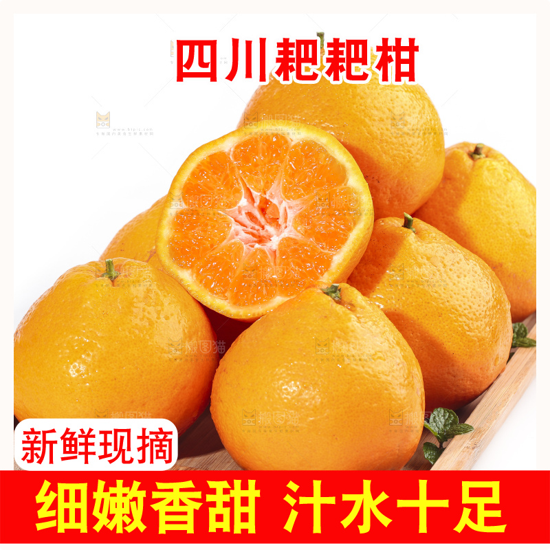 一盘新鲜的耙耙柑放在白底上