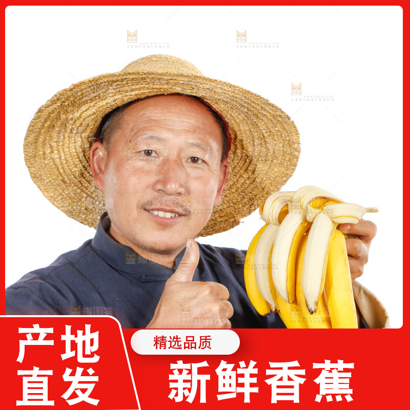 农民手里拿着一串香蕉