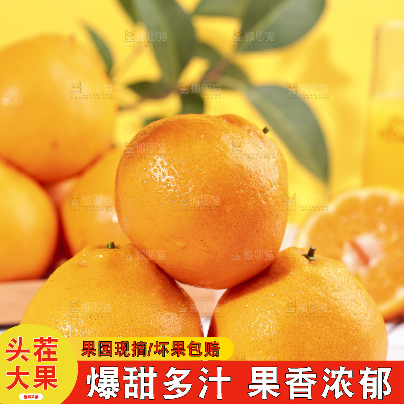 格子布上放着一盘春见耙耙柑