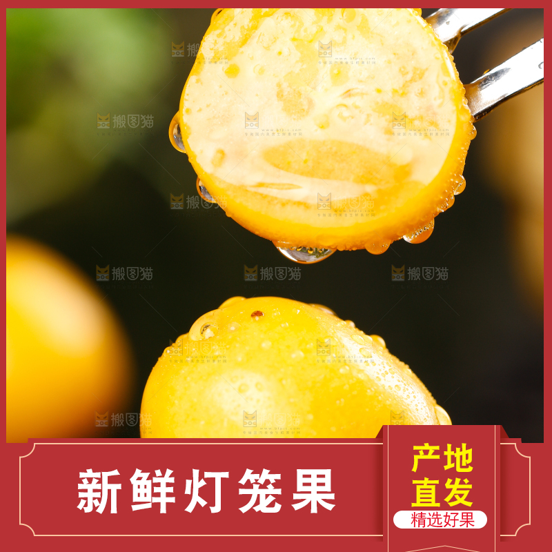 黑底上放着姑娘果