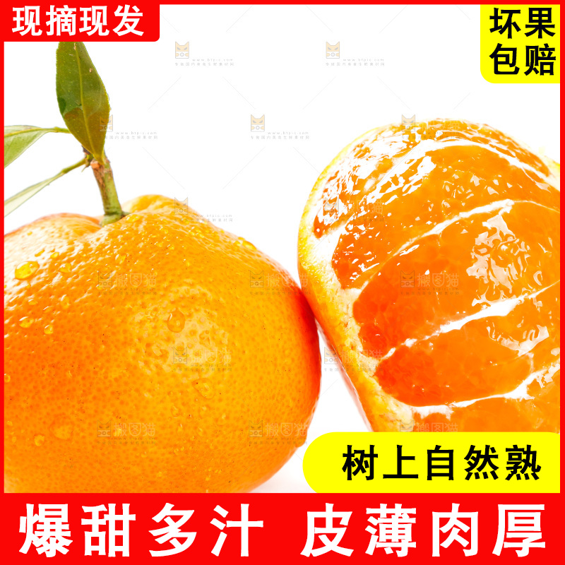 白底上摆放着蜜橘
