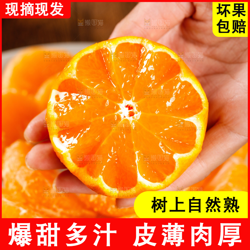 盘子里放着橘子