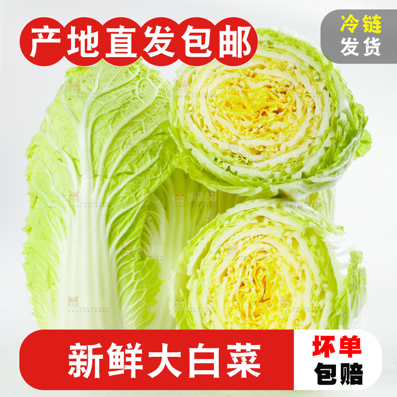 切开的黄心大白菜放在白底上
