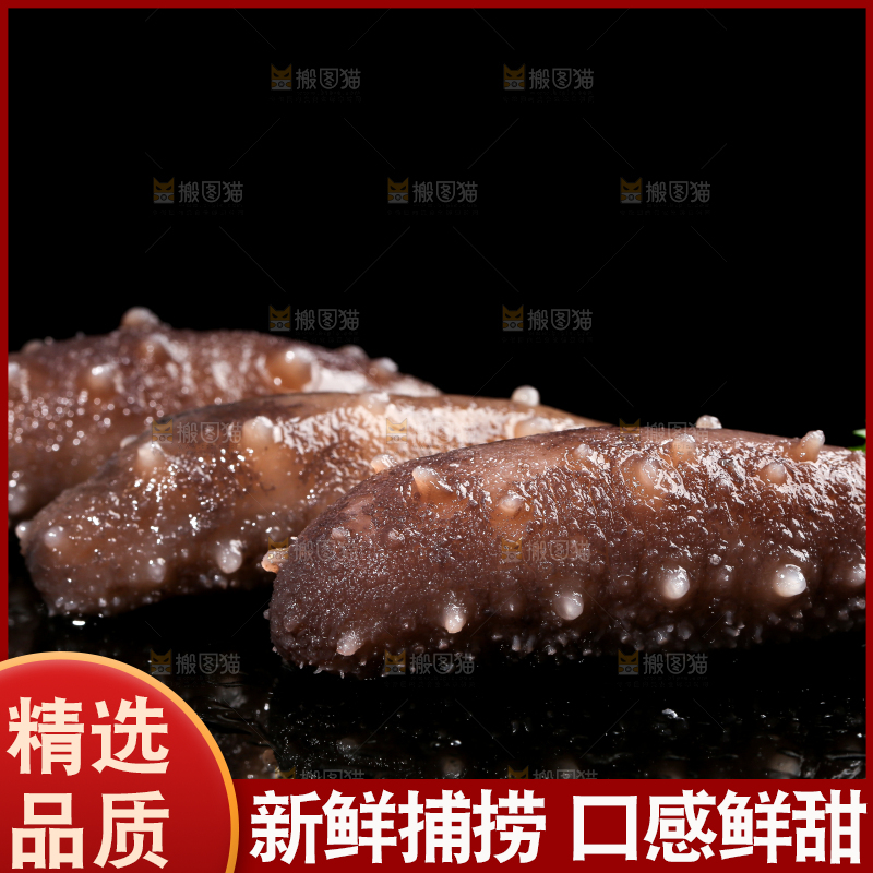 黑底上的海参