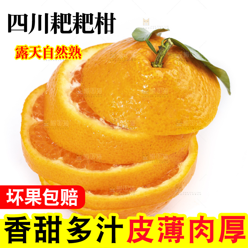 切开的四川耙耙柑放在白底上