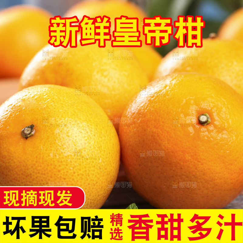 木板上的皇帝贡柑