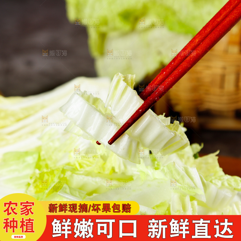 筷子夹着大白菜