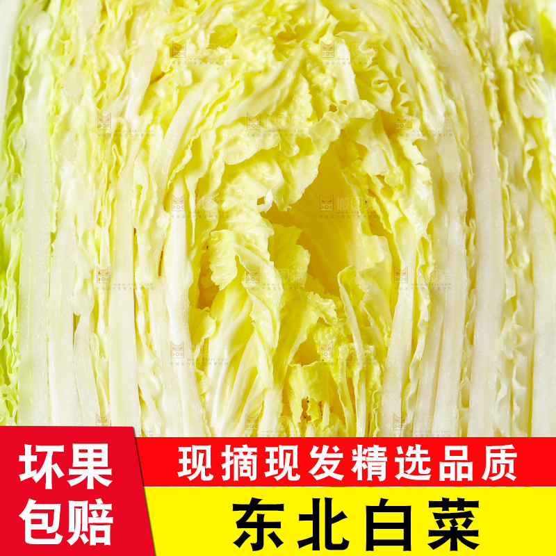 深底上切开的大白菜
