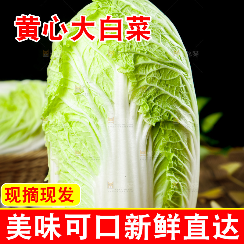 木底上的新鲜大白菜